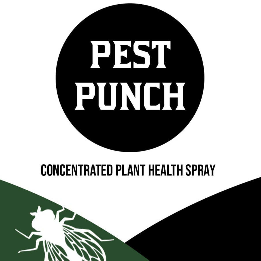 Pest Punch- Concentrated Plant Health Spray