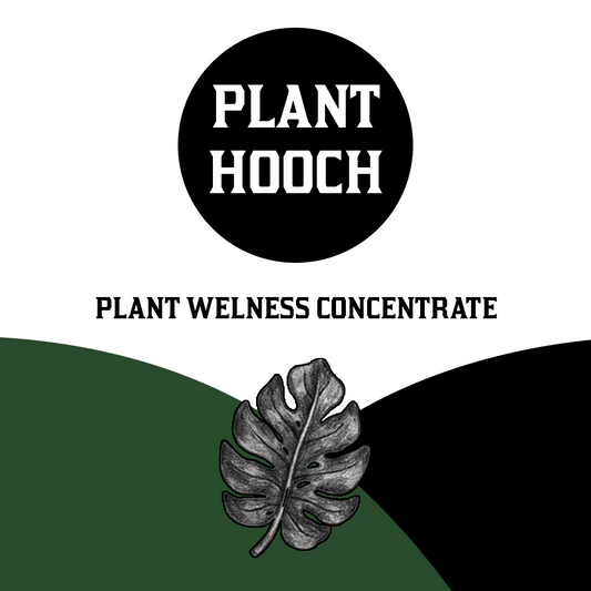 Plant Hooch- Concentrated Plant Health Spray