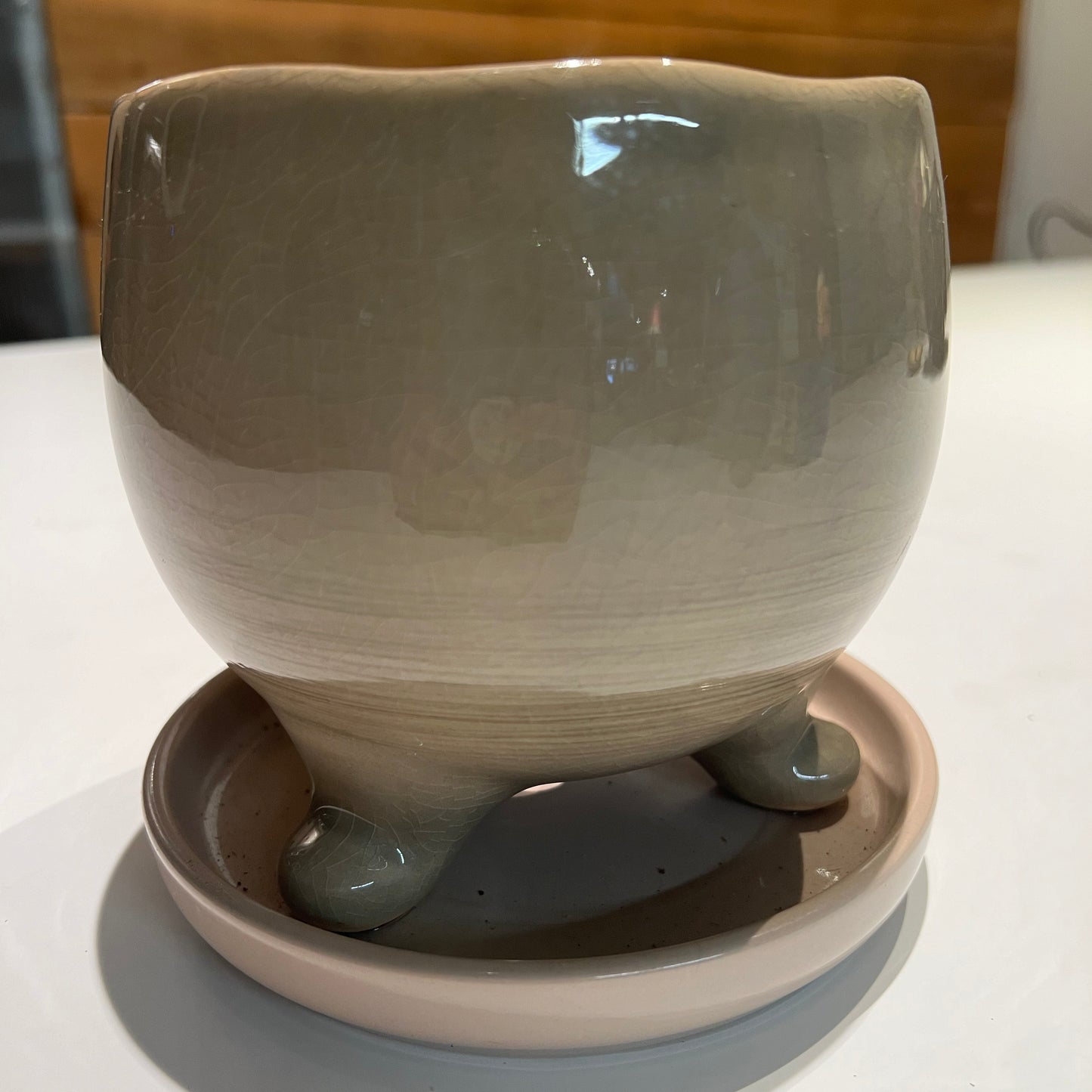Darwin Planters